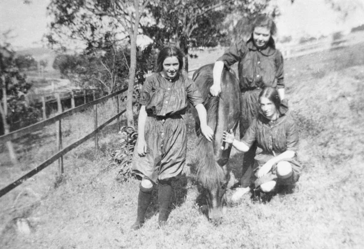 Girls from the Brisbane Girls Grammar School patting a horse, Brisbane, 1914