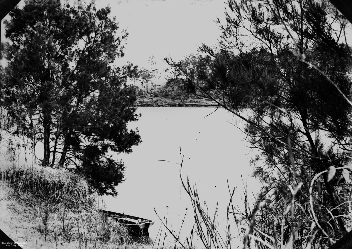 View across the Brisbane River to St Lucia, Brisbane, Queensland, 1906