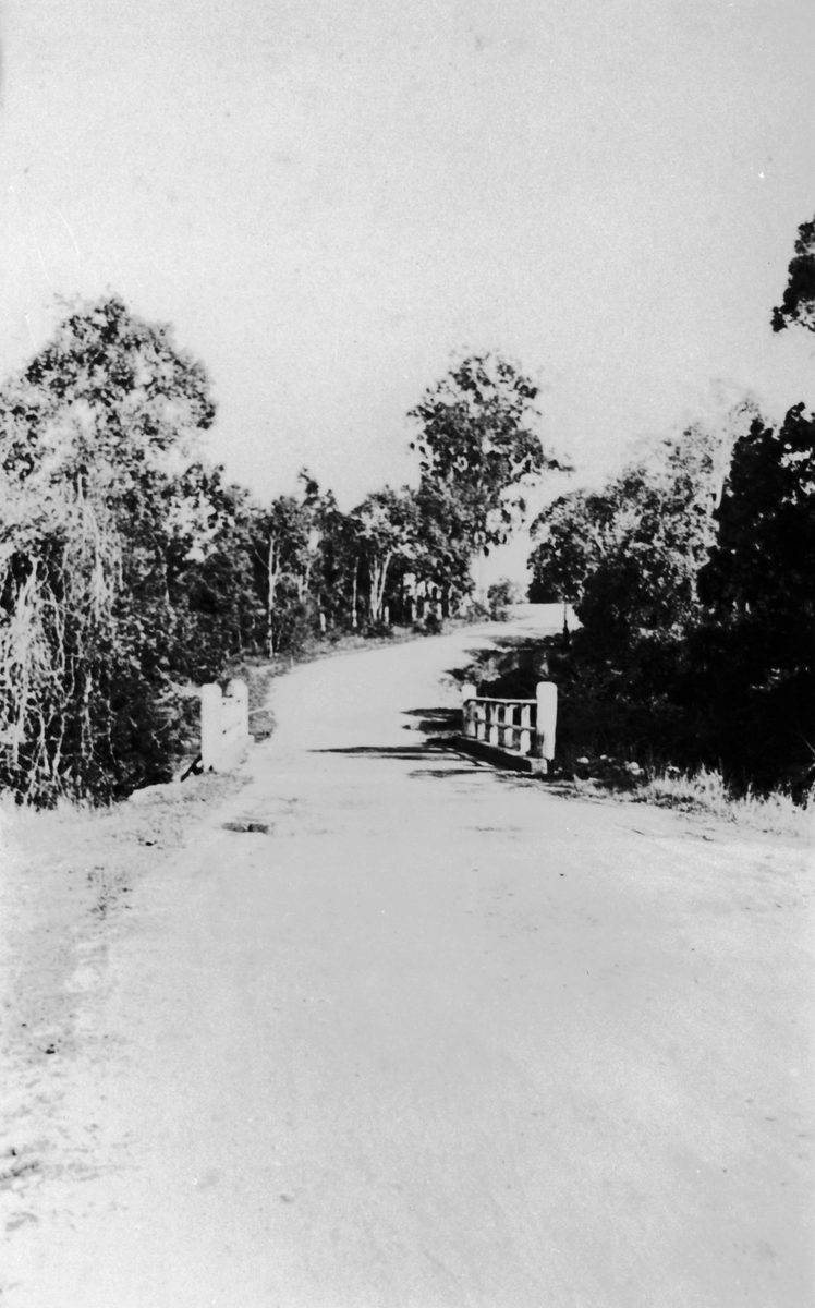 On the road to Sandgate via Zillmere, 1929