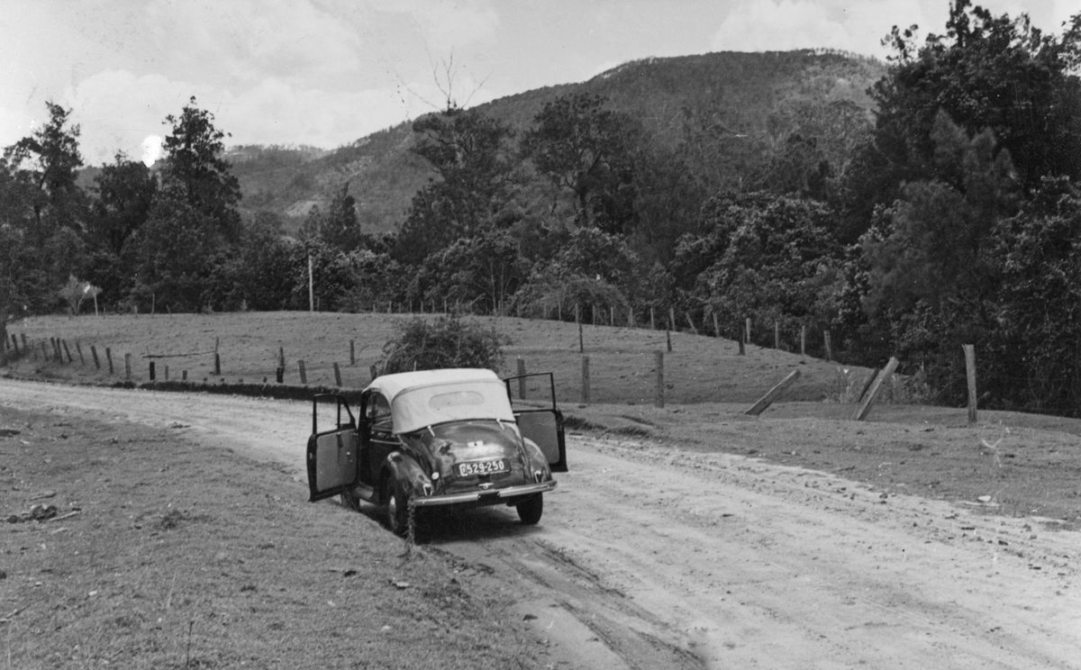 Mount Glorious District in Queensland