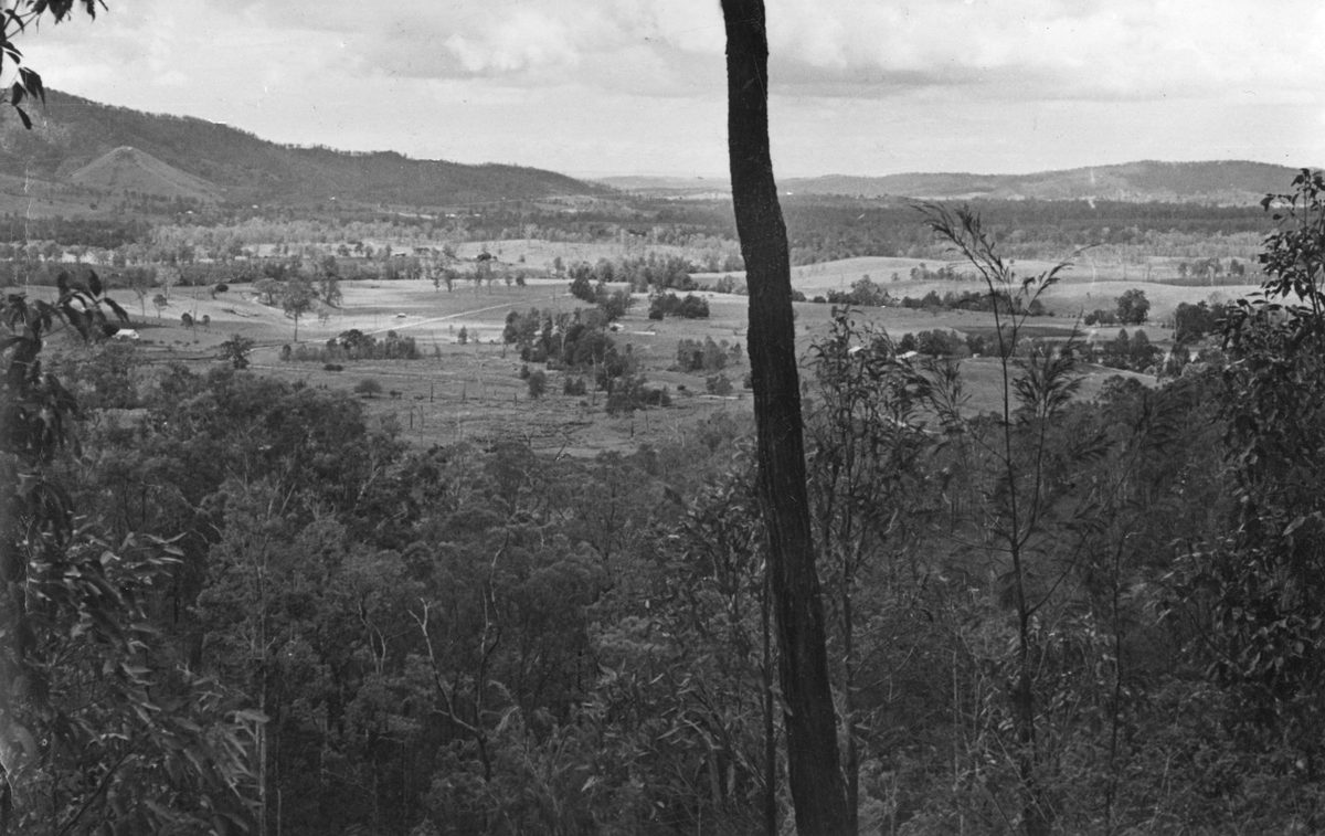 View from Mt Glorious on to the valley floor, 1952