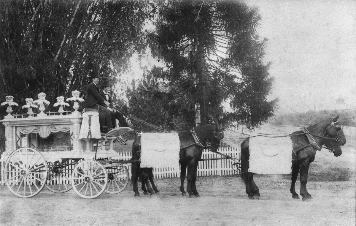 Funeral carriage from the undertakers John Hislop in Brisbane, 1895