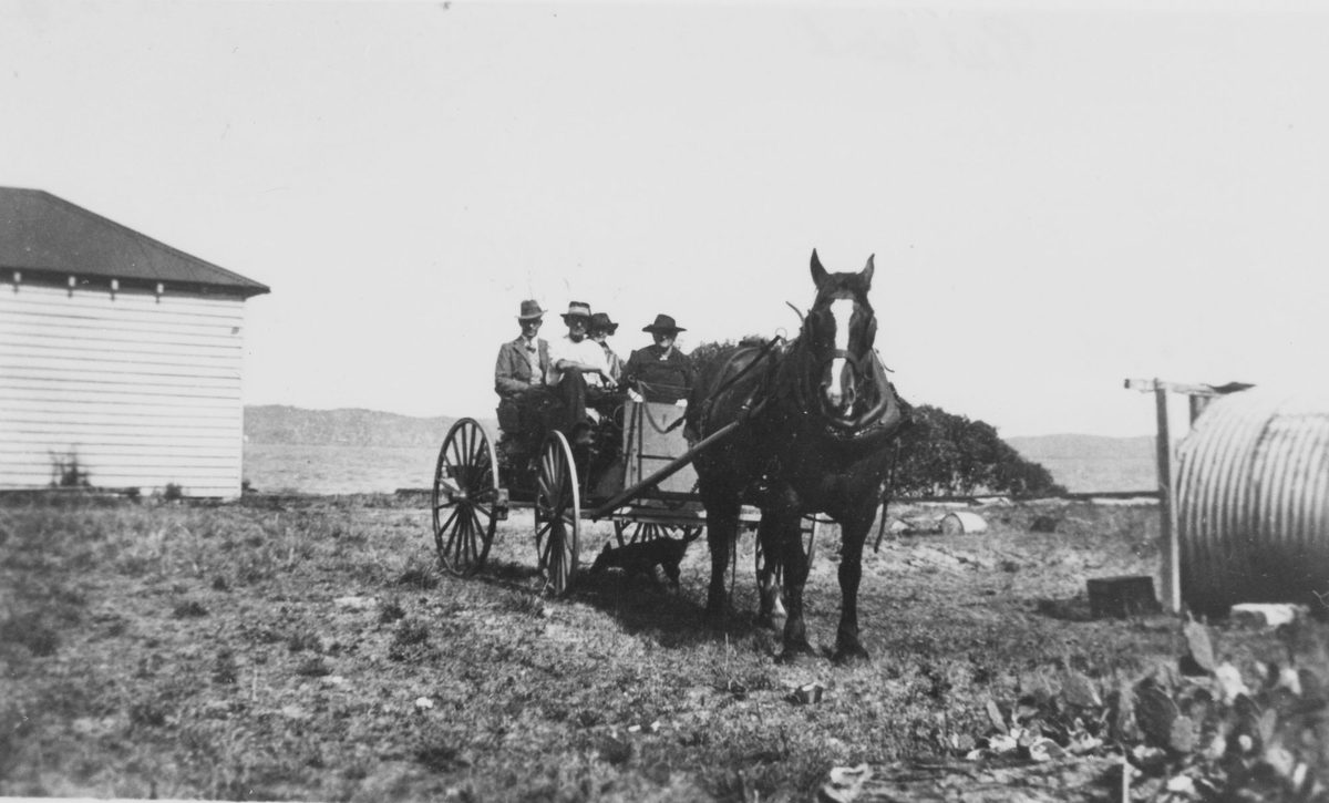 Visitors to Peel Island Leprosy colony were transported form the stone jetty to the Lazaret by horse ('Dolly') and dray, 1938