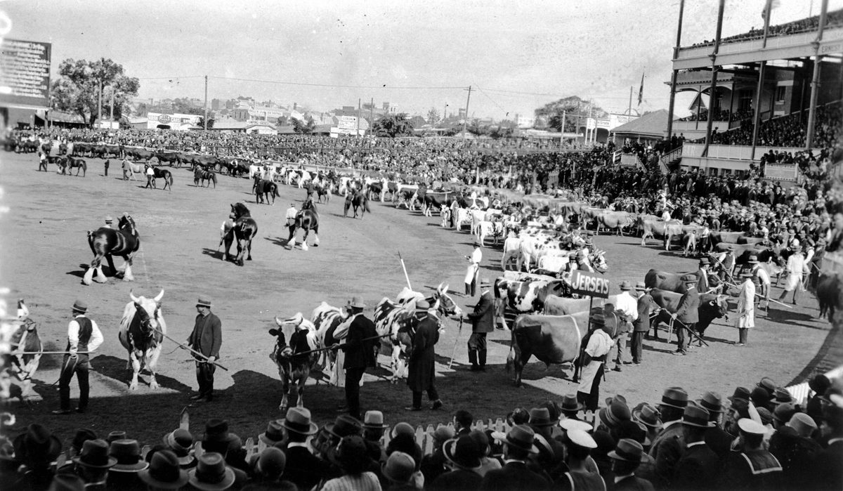 Show crowds observe the Grand Parade, Exhibition Ground, Brisbane, 1929
