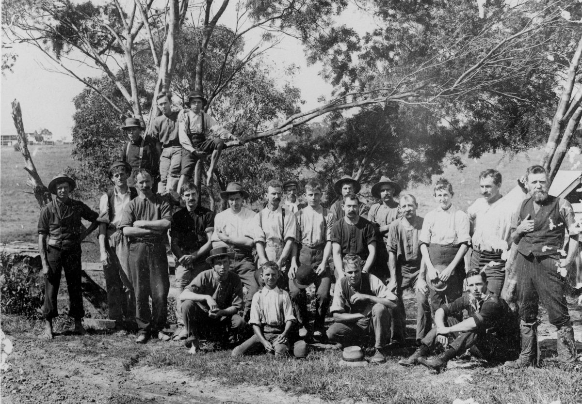 Group portrait of employees of Baynes Brothers Woolscourers, Brisbane, 1912