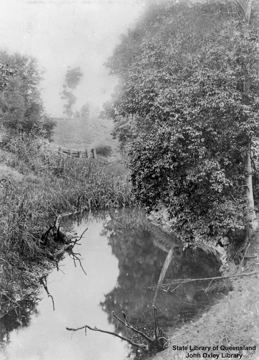 Light mist around a creek at Indooroopilly, Brisbane, 1901