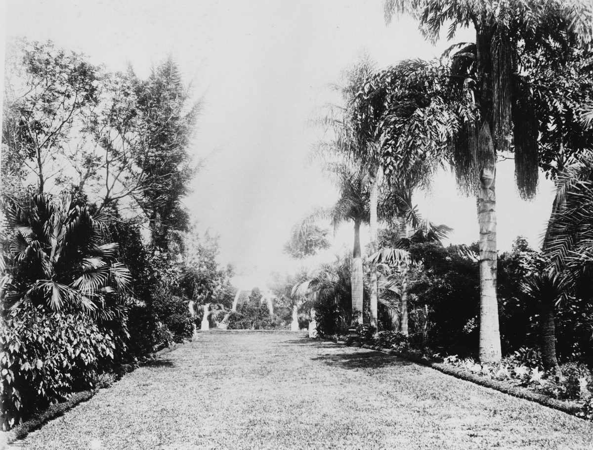 View along a palm tree-lined path in Bowen Park, Brisbane, 1889