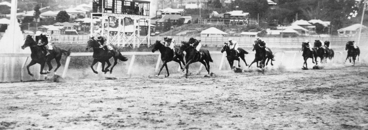 Delighted wins his race at Albion Park, Brisbane, 1931
