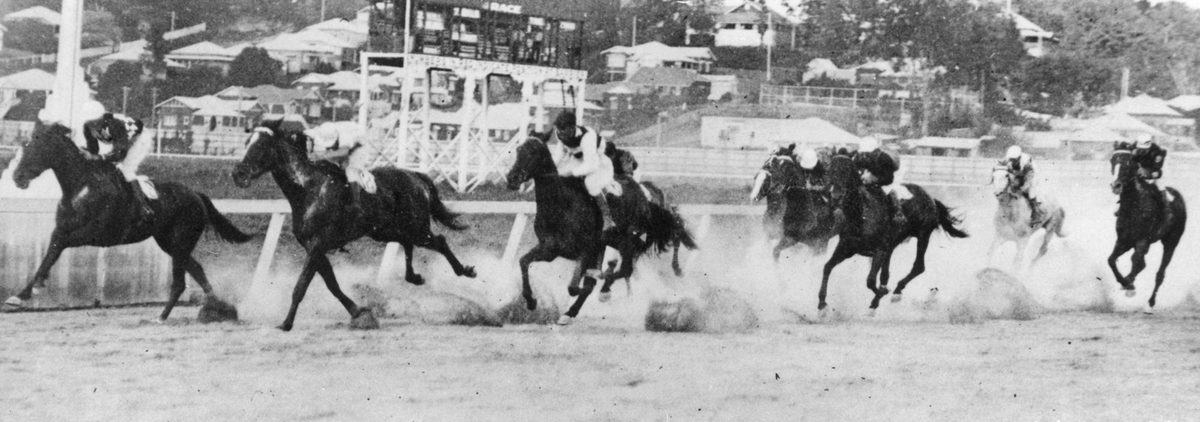 Lady Vizer leads the rest of the horses across the line at Albion Park, Brisbane, 1931