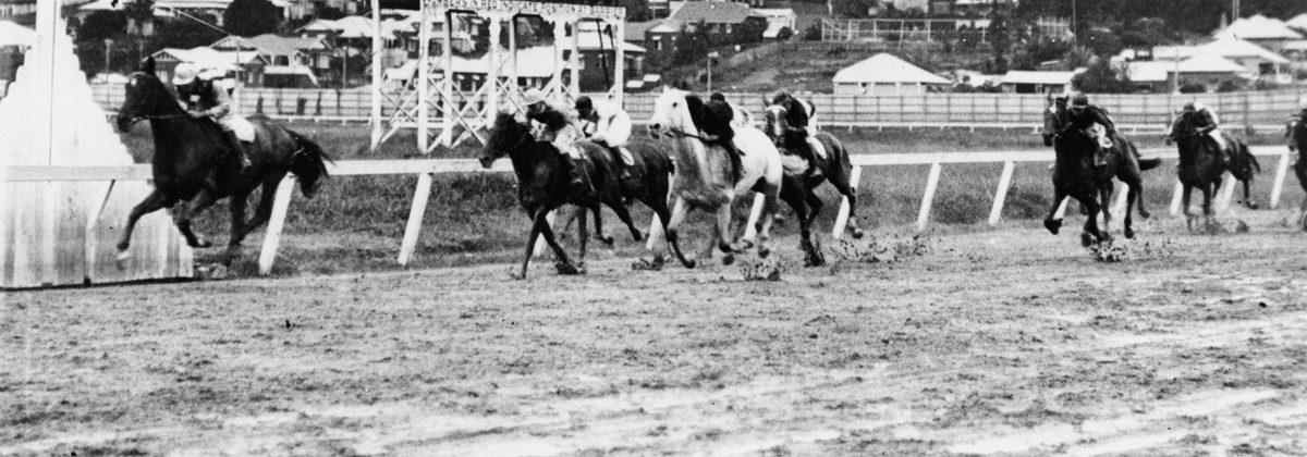 Horses at the winning post at Albion Park races, Brisbane, May 1931
