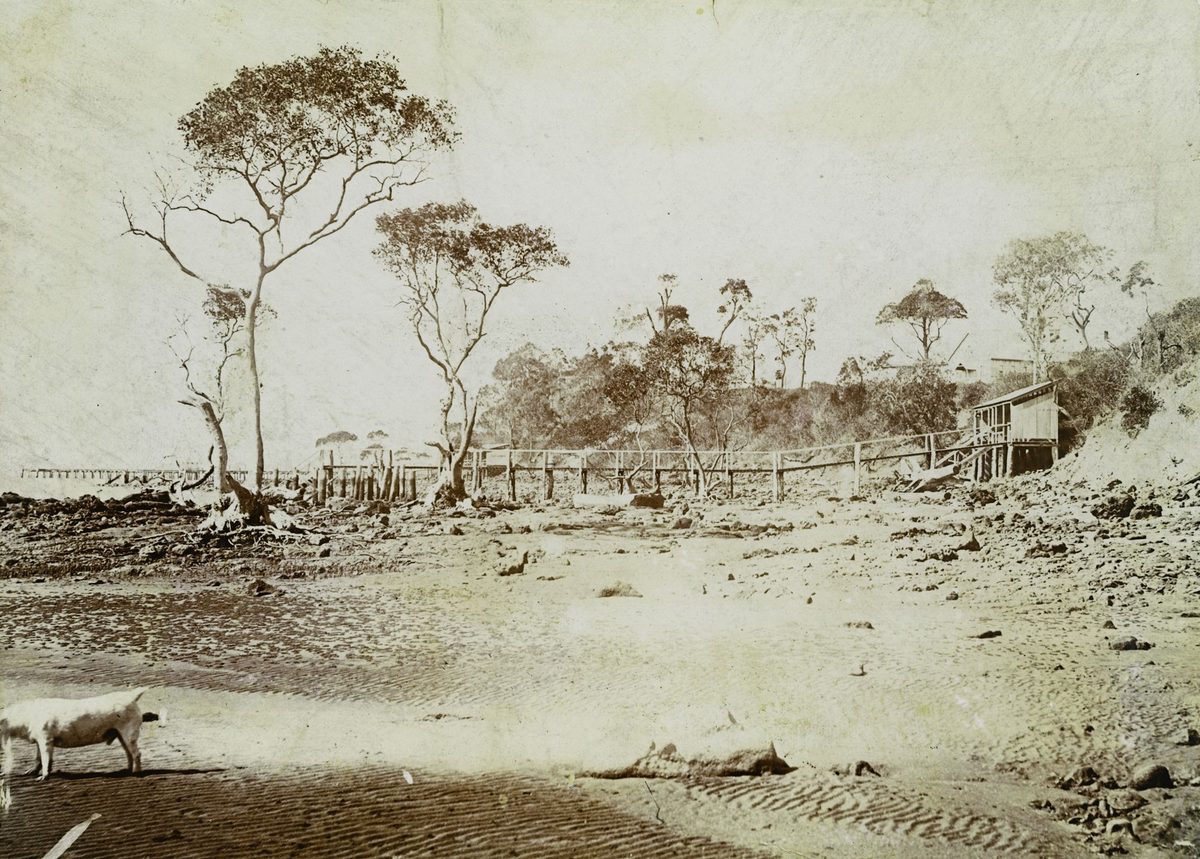 Sandgate beach in 1900