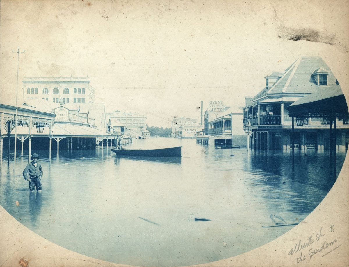Looking down flooded Albert Street towards the Botanical Gardens, Brisbane, 1893