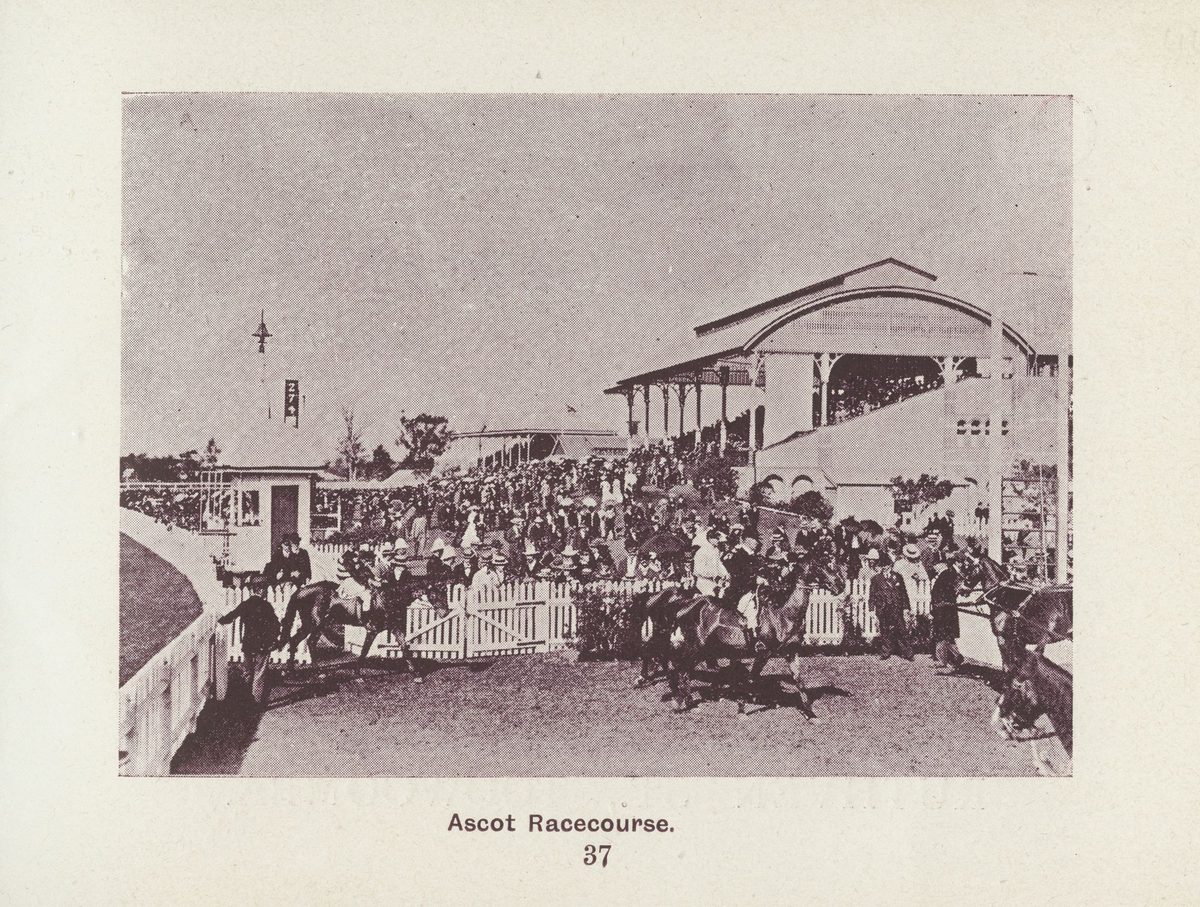 View from the saddling enclosure at Ascot Racecourse, Brisbane, 1902