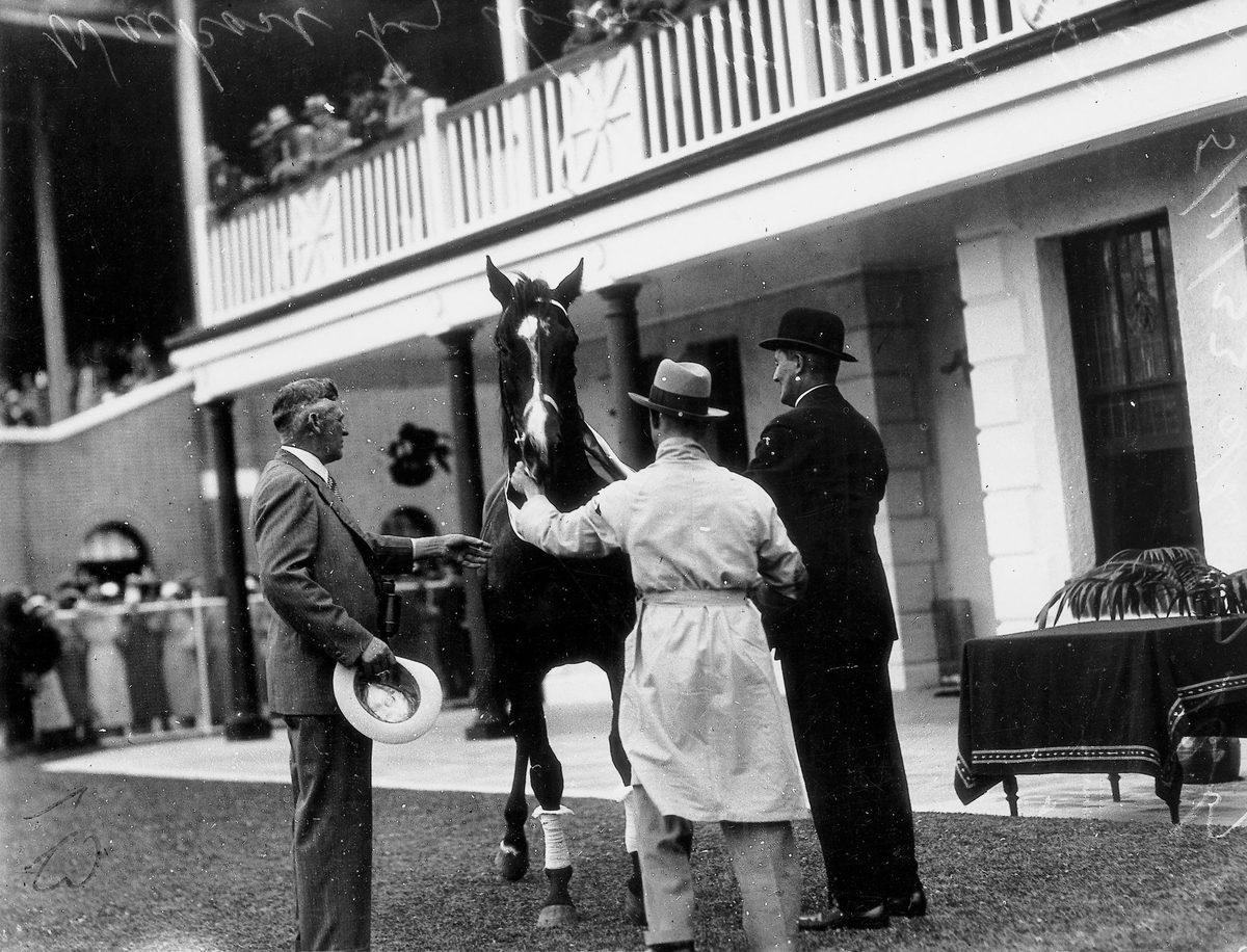 Sir Leslie Wilson decorates Sydney colt, Waikare, winner of the Derby Stakes at Ascot races, Brisbane, November 1933
