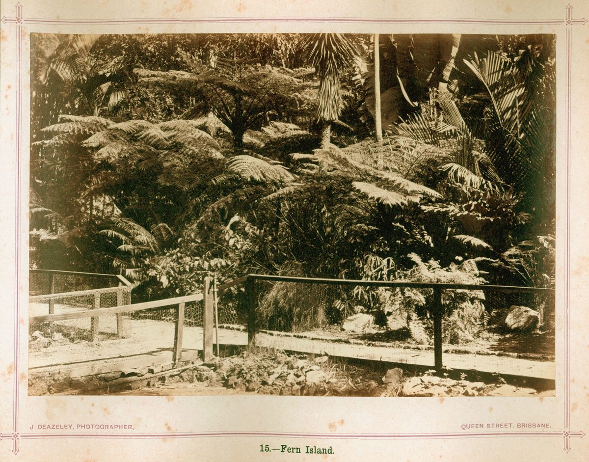 Fern Island, Brisbane, 1874