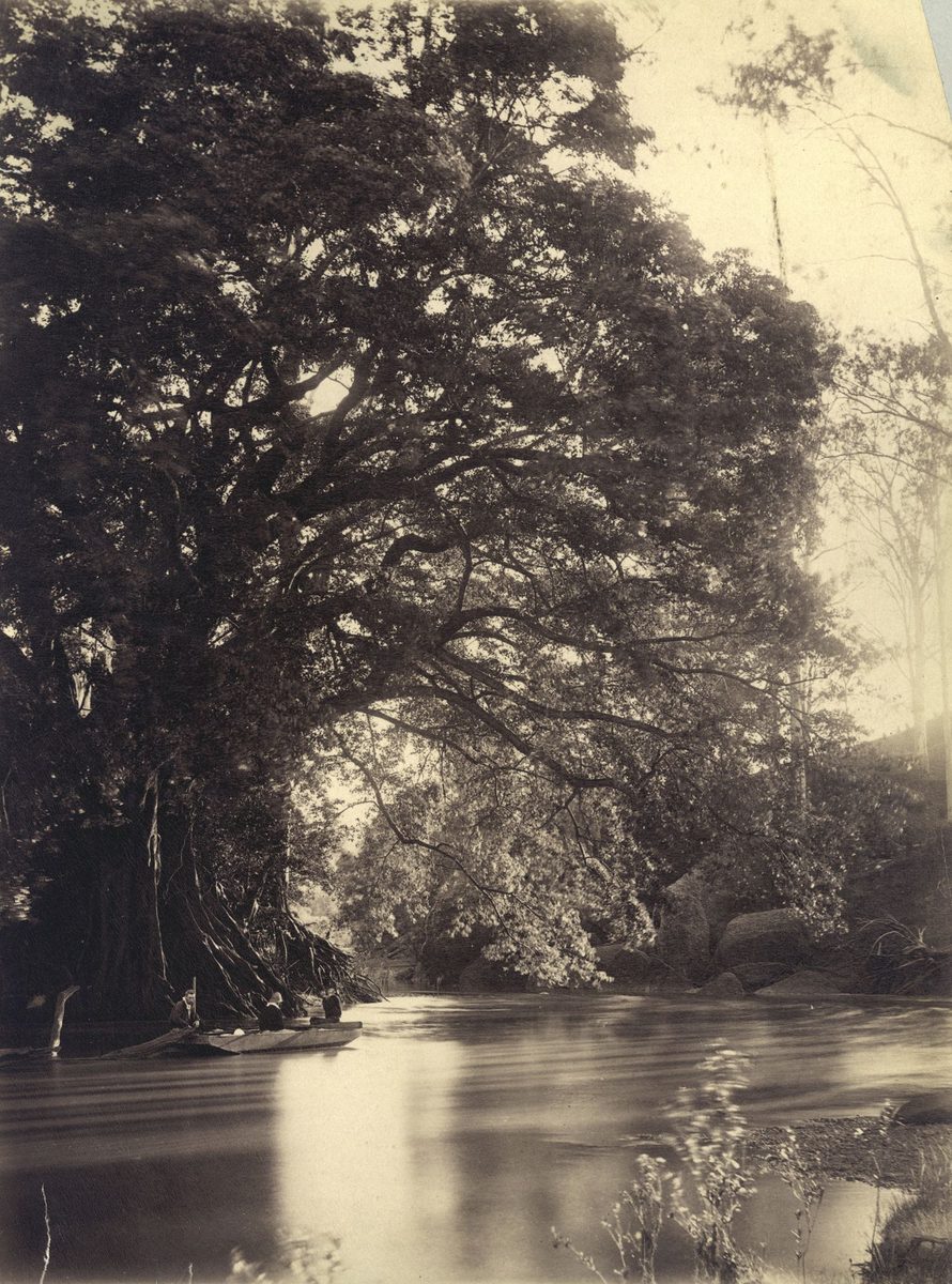 J. Trackson and friends in a punt in the upper reaches of the Brisbane River