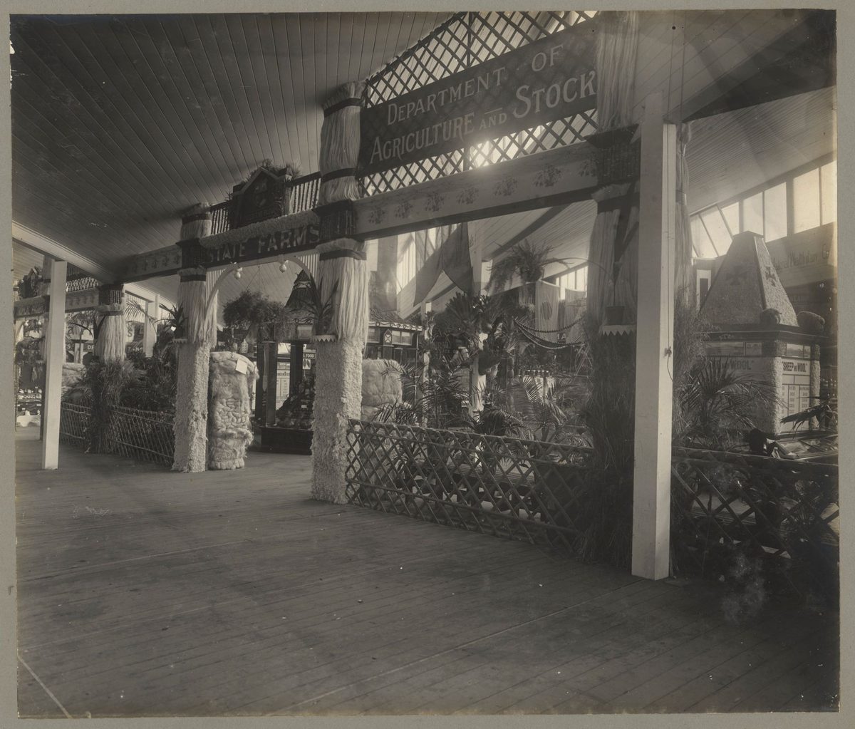 Department of Agriculture and Stock display at the Jubilee Exhibition, Brisbane, 1909