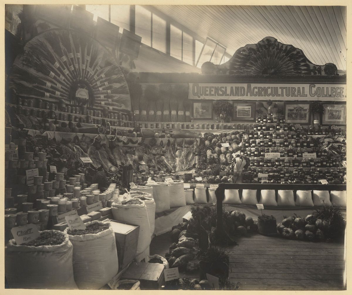 Queensland Agricultural College display at the Jubilee Exhibition, Brisbane, 1909
