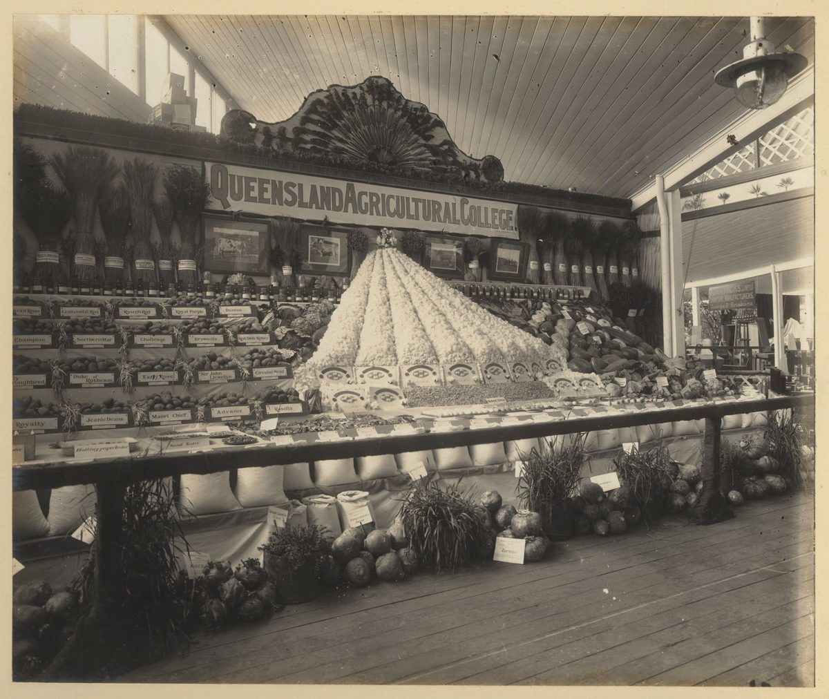 Queensland Agricultural College display at the Jubilee Exhibition, Brisbane, 1909