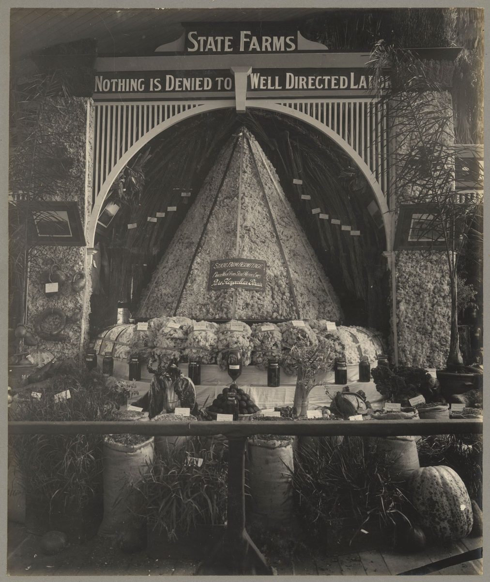 Queensland State Farms Merino wool display at the Jubilee Exhibition, Brisbane, 1909