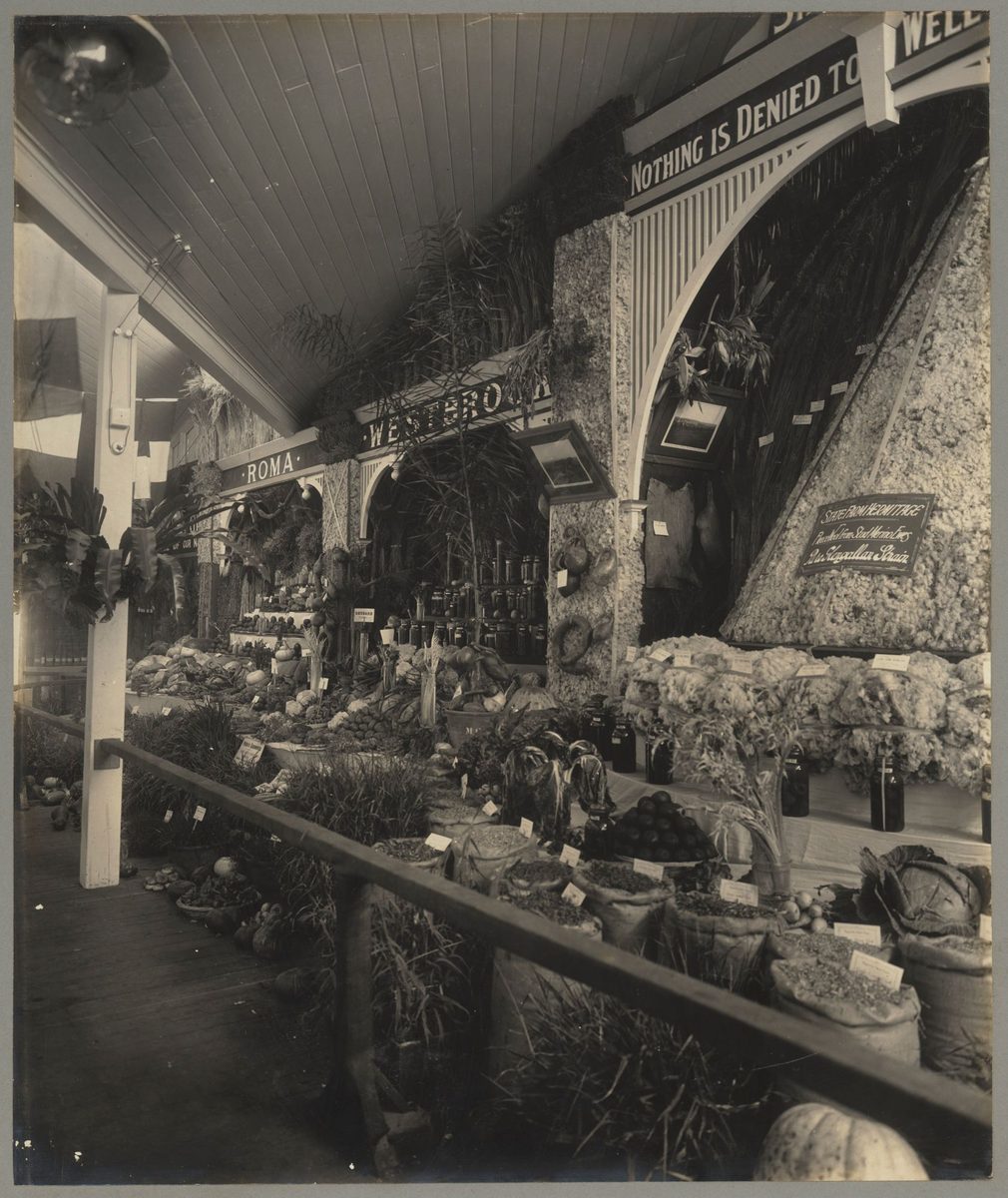 Display at the Jubliee Exhibition, Brisbane, 1909