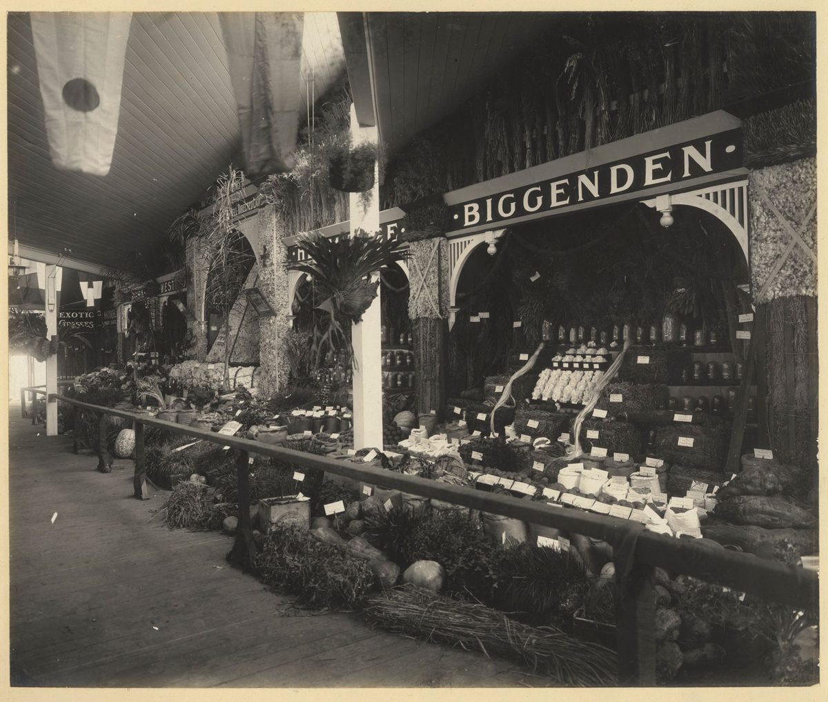 Primary produce display from Biggenden at the Jubilee Exhibition, Brisbane, 1909