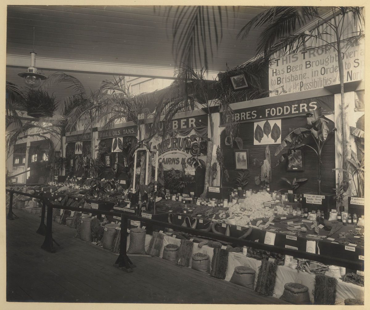 Produce on display at the Jubilee Exhibition from the Cairns district, Brisbane, 1909