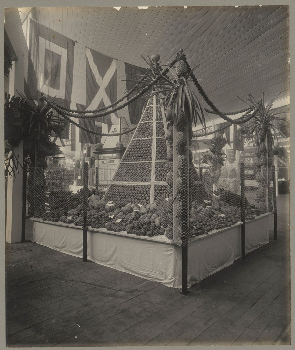 Pineapple and fruit display at the Jubilee Exhibition, Brisbane, 1909