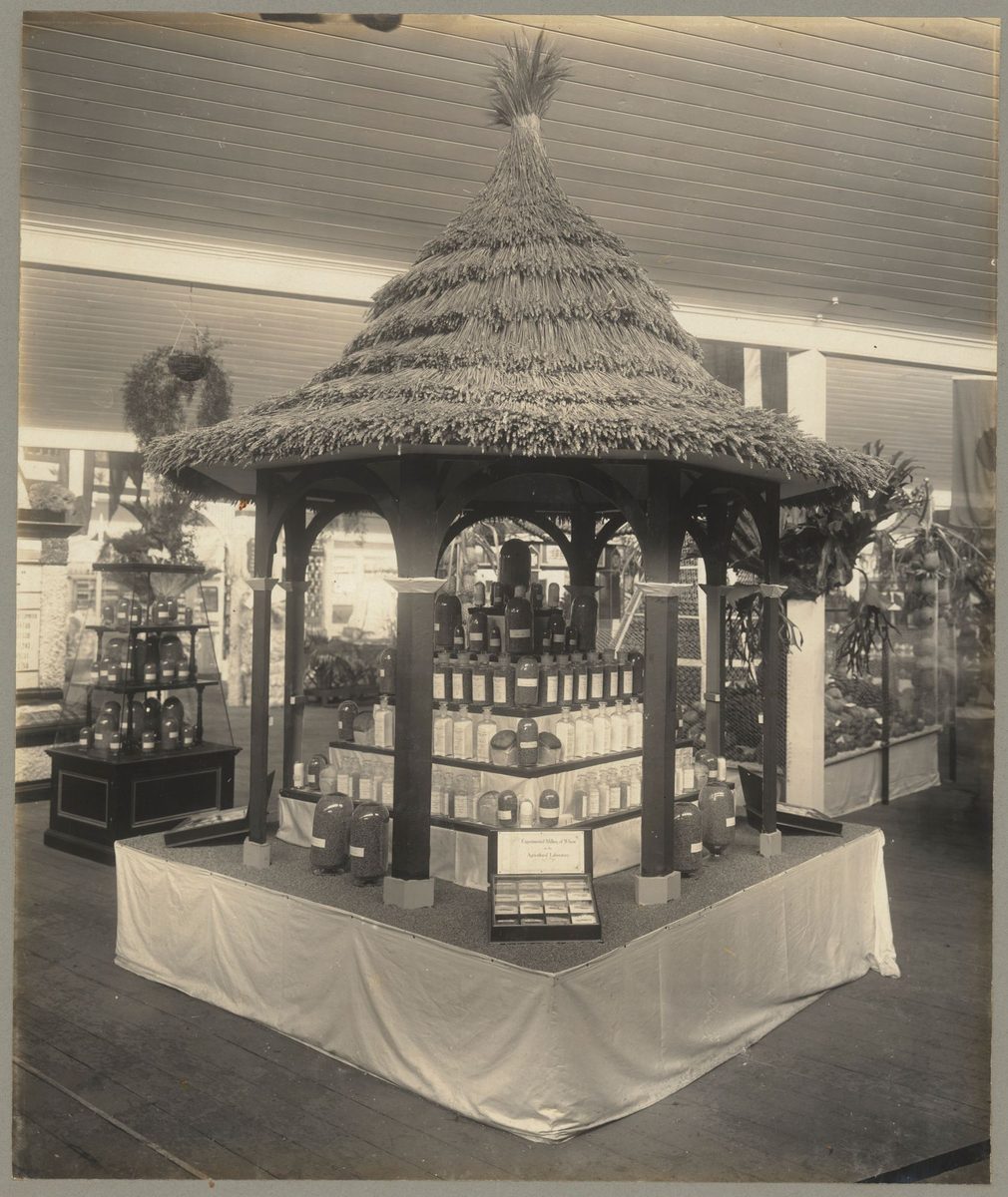 Thatched rotunda featuring a display at the Julbille Exhibition, Brisbane, 1909
