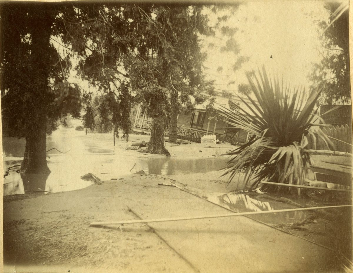View of the Curator's House in the Botanic Gardens in Brisbane, after the 1893 floods