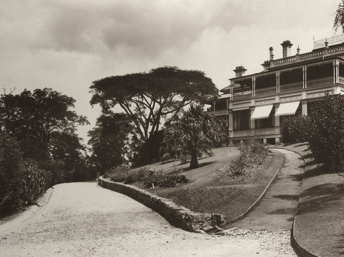 Fernberg and part of the driveway, Government House, Paddington, 1932