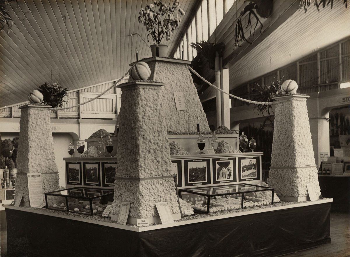 Cotton trophy