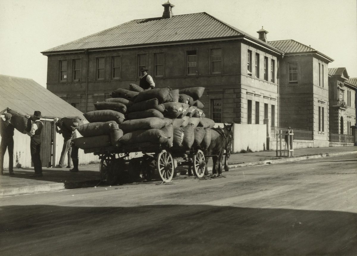 Unloading cotton bales at the Department of Agiculture and Stock
