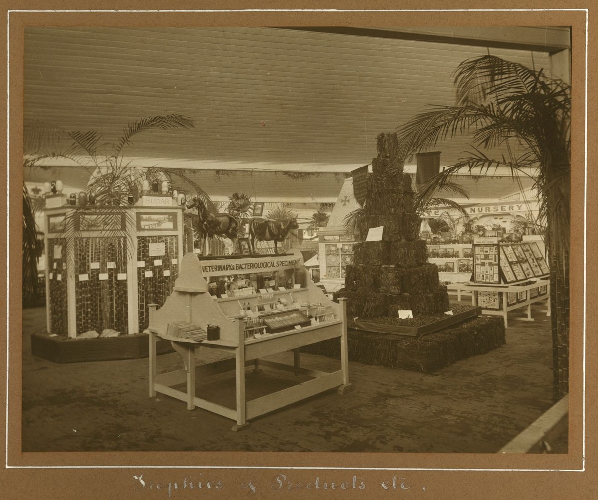 Displays at the Exhibition, Brisbane, 1912