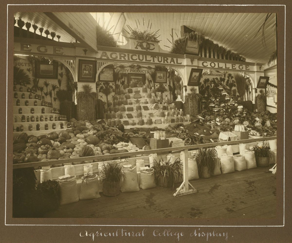 Queensland Agricultural College display at the Exhibition, Brisbane, 1912