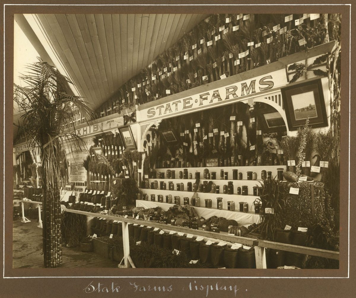State Farm disply at the Exhibition, Brisbane, 1912