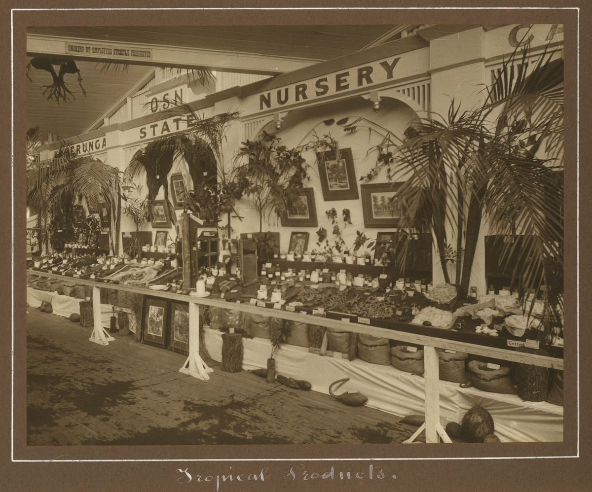 State Nursery display at the Exhibition, Brisbane, 1912