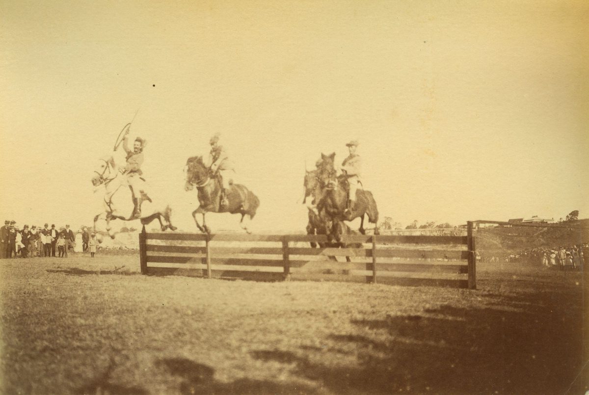 Military horsemanship on display during Commonwealth celebrations at the Domain, Brisbane, 1901