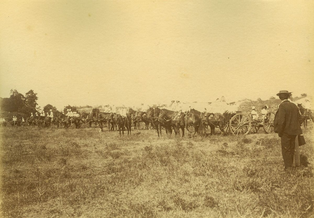 Parade of military artillery at the Domain during Commonwealth Day celebrations, Brisbane, 1901