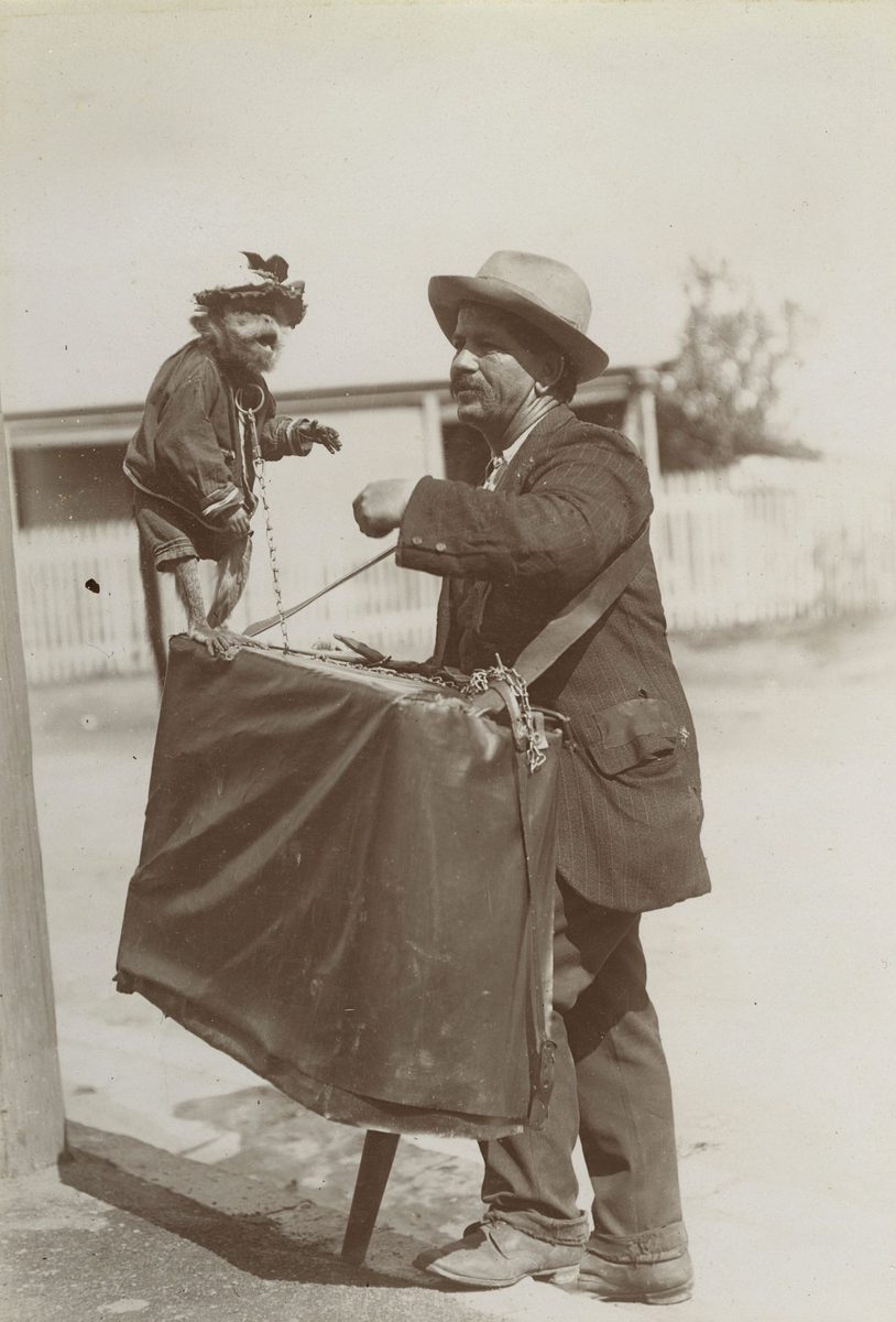 Barrel organ man and his pet monkey, Brisbane, 1908