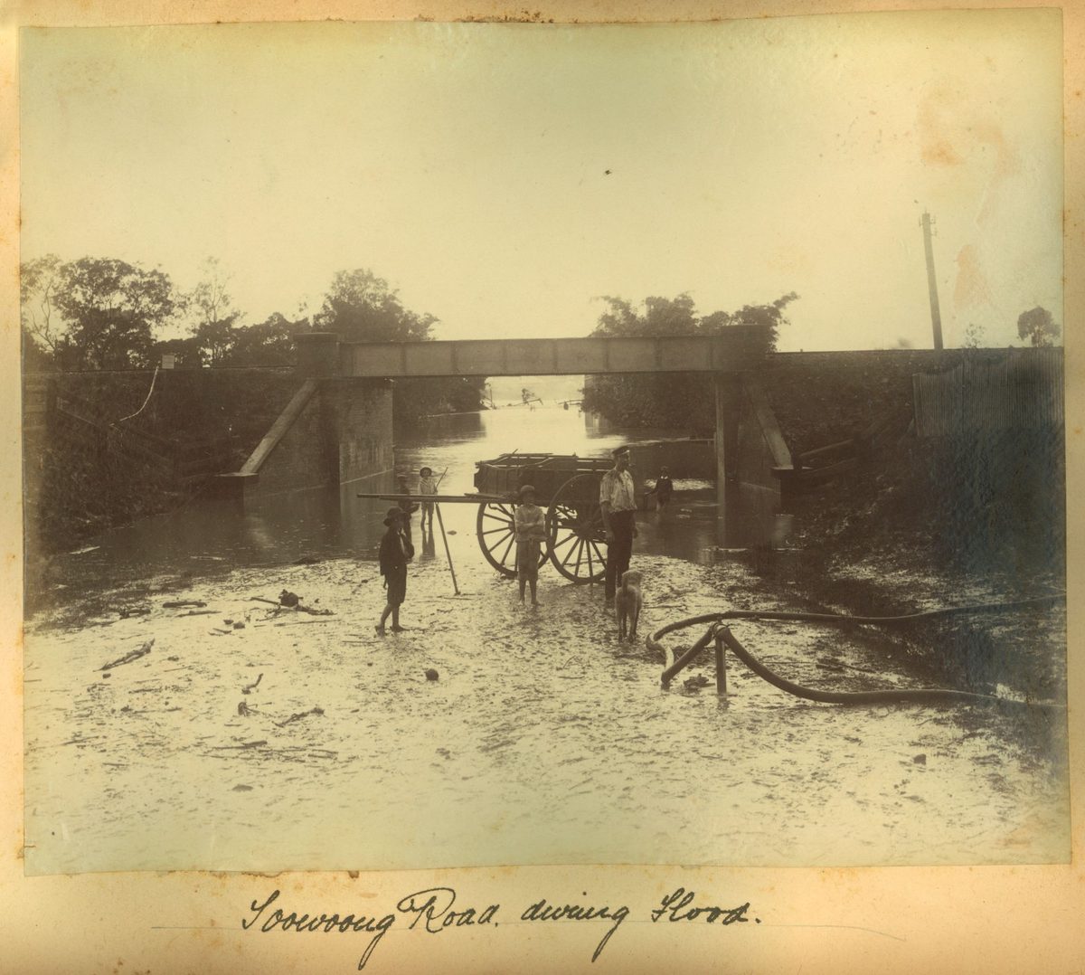 Children play in floodwaters on Toowong Road during the floods, Brisbane, 1893