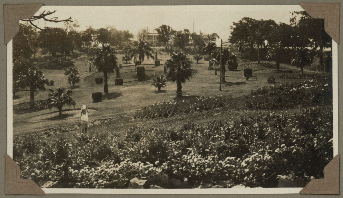 View of Albert Park gardens, Brisbane, 1929