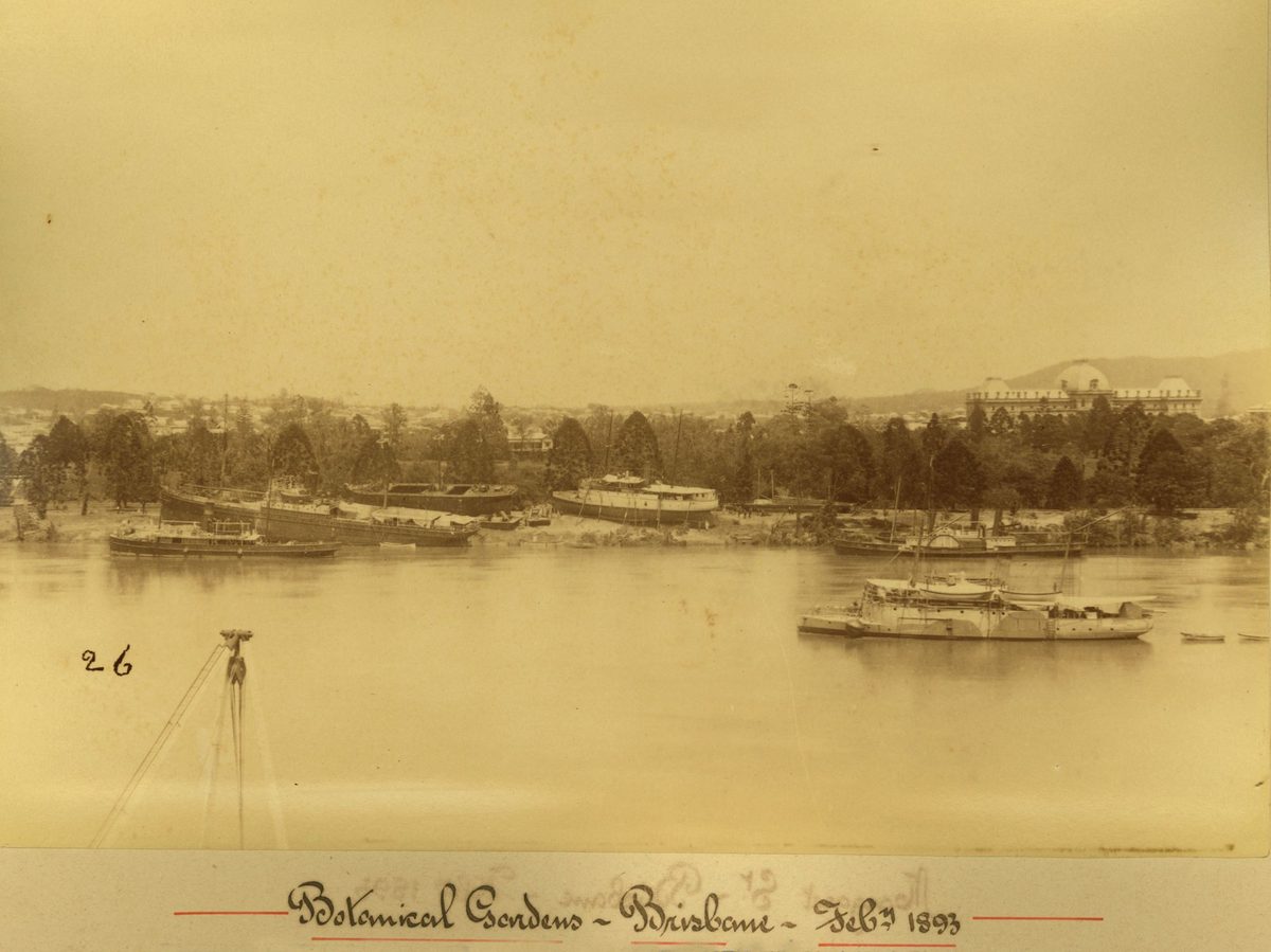 Stranded boats on edge of the Botanic Gardens, Brisbane