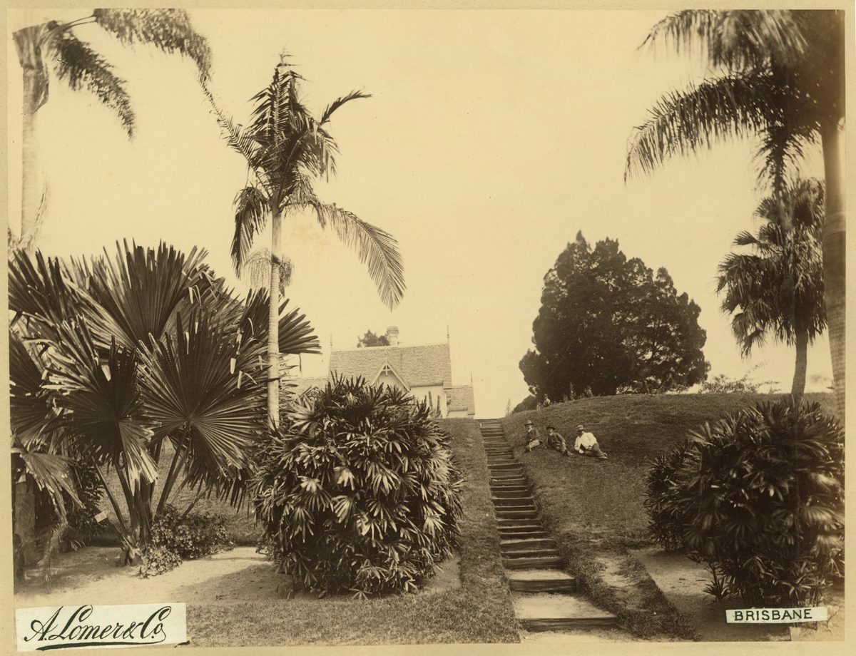 Botanic Gardens and the steps leading up to the caretaker's cottage, Brisbane, 1889