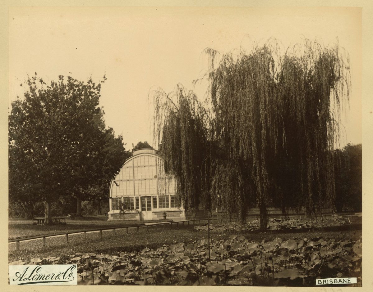 Glasshouse in the Botanical Gardens, Brisbane, 1889