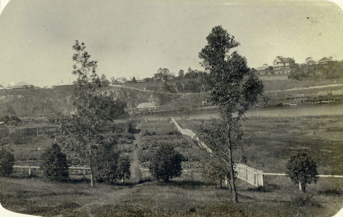 Kitchen garden at Government House, Brisbane, August 1908