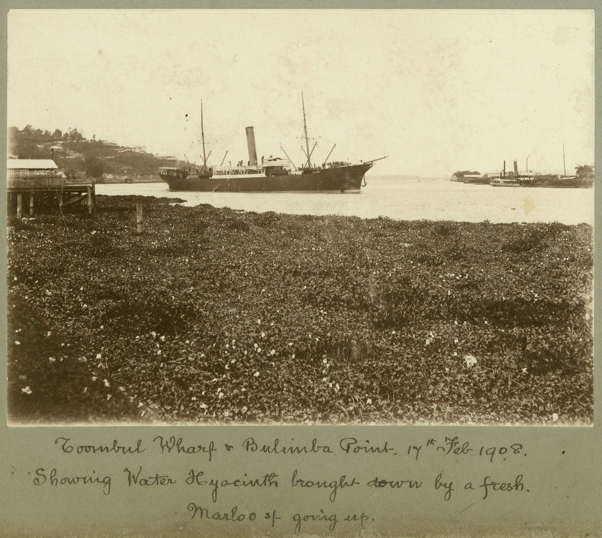 Toombul wharf and Bulimba Point, Brisbane, 1908