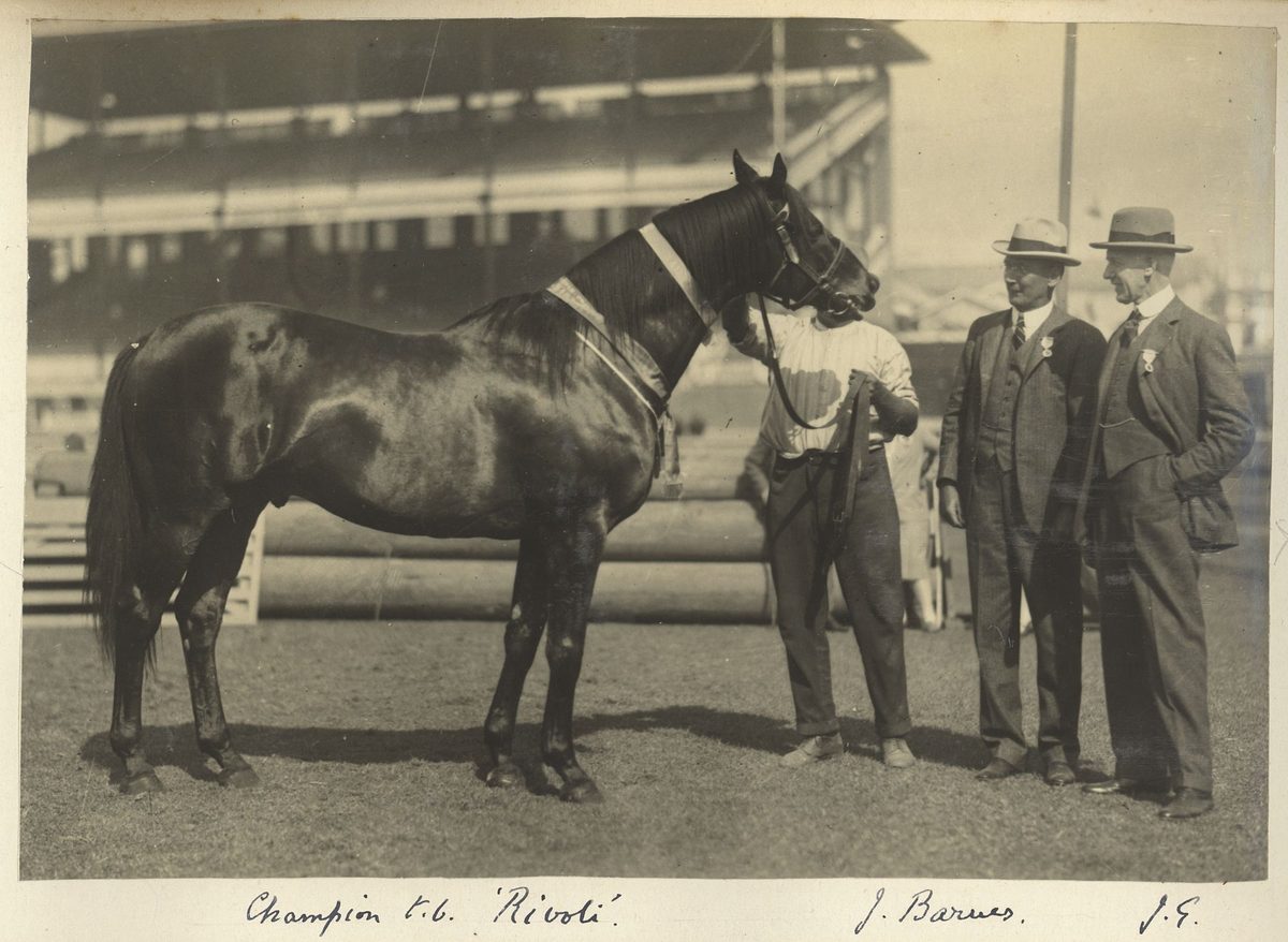 Queensland Governor, Sir John Goodwin at the Brisbane Show, Queensland, 1927