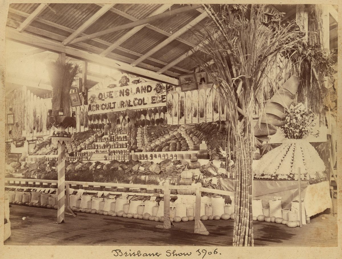 Queensland Agricultural college's produce display at the Brisbane Show, 1906