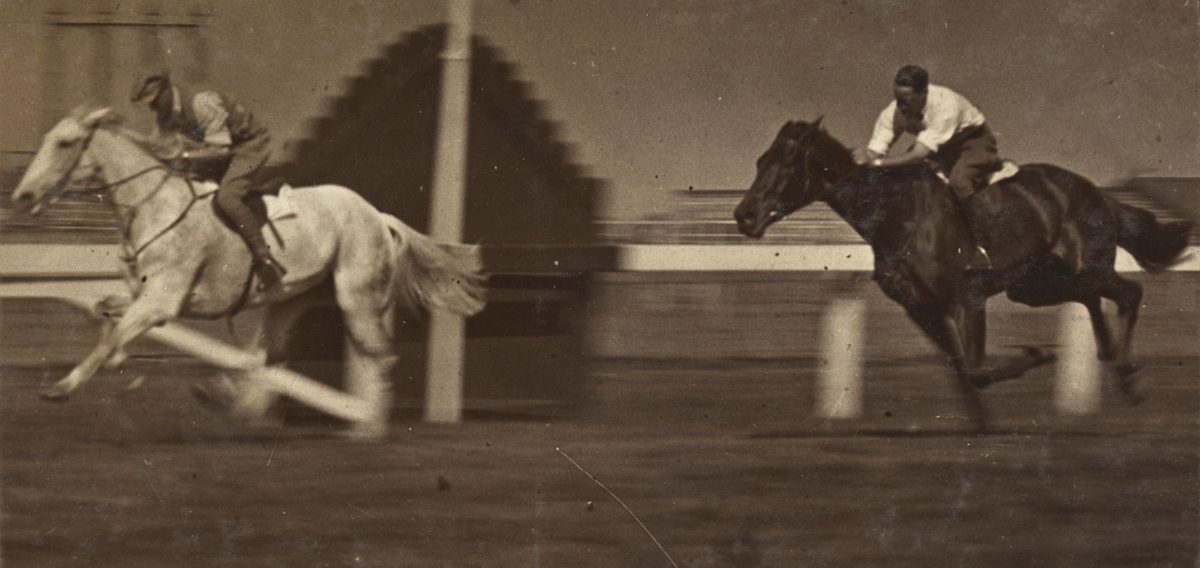 Edward, Prince of Wales on a race horse at Ascot, Brisbane during his visit 1920